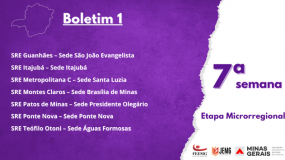 Boletim 1 da Sétima Semana de Execução da Etapa Microrregional já está disponível.