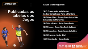 Publicadas as tabelas de jogos e a programação do xadrez das SREs de Governador Valadares, Guanhães, Ouro Preto, Passos, Patrocínio, Pirapora e Prata.